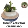 Bolacha de Mogno Africano Madeira Rustica Sem Acabamento