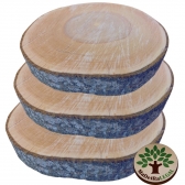 Bolacha de Mogno Africano Madeira Rustica Sem Acabamento