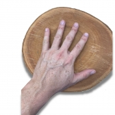 Bolacha de Mogno Africano Madeira Rustica Sem Acabamento