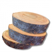 Bolacha de Mogno Africano Madeira Rustica Sem Acabamento